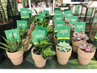 target hilton carter 2021 7 1621016414 1621016414 scaled