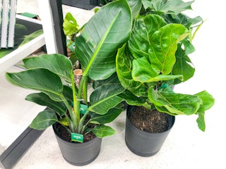 target hilton carter 2021 8 1621016427 1621016427 scaled