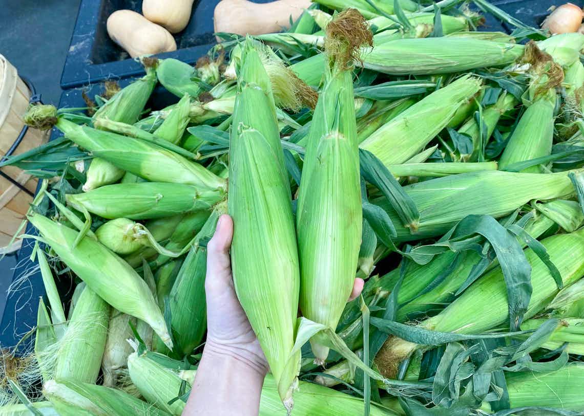walmart-florida-sweet-corn-2021b