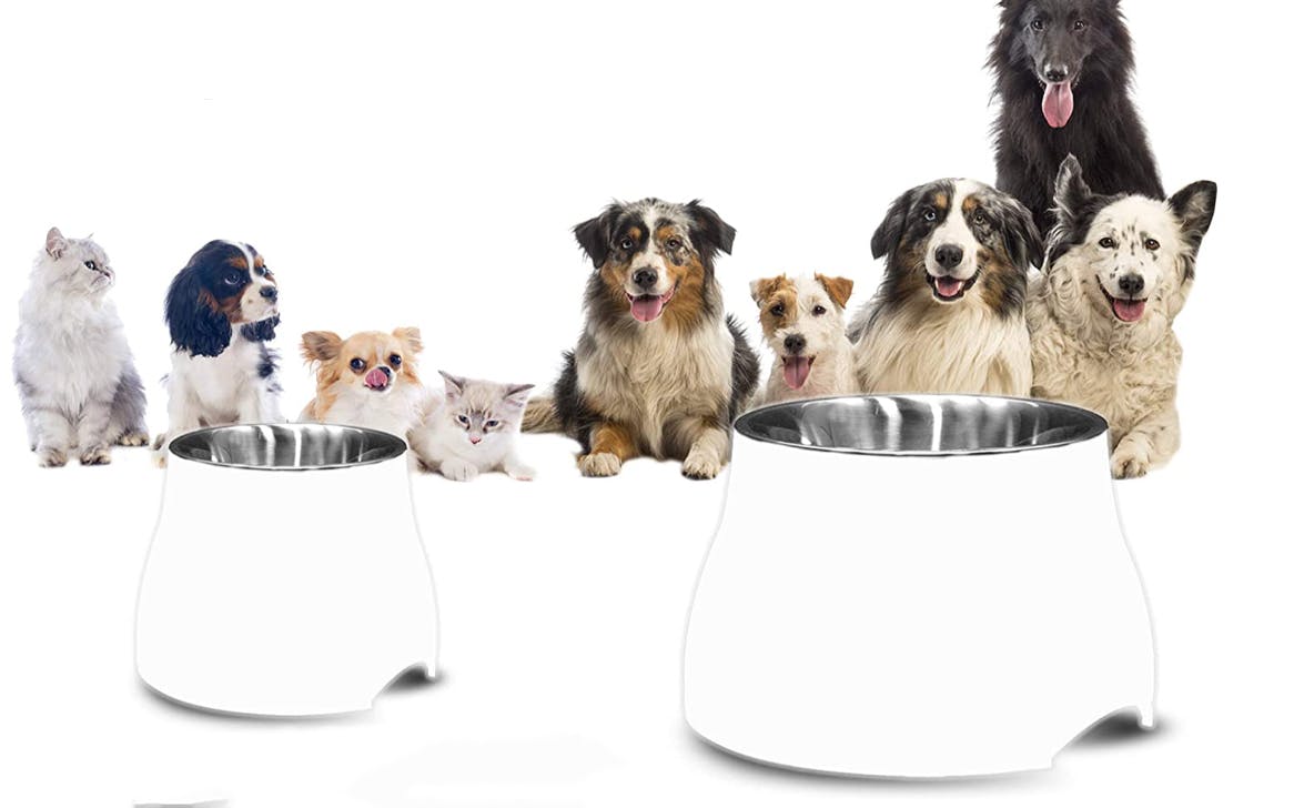 hobby lobby dog bowls