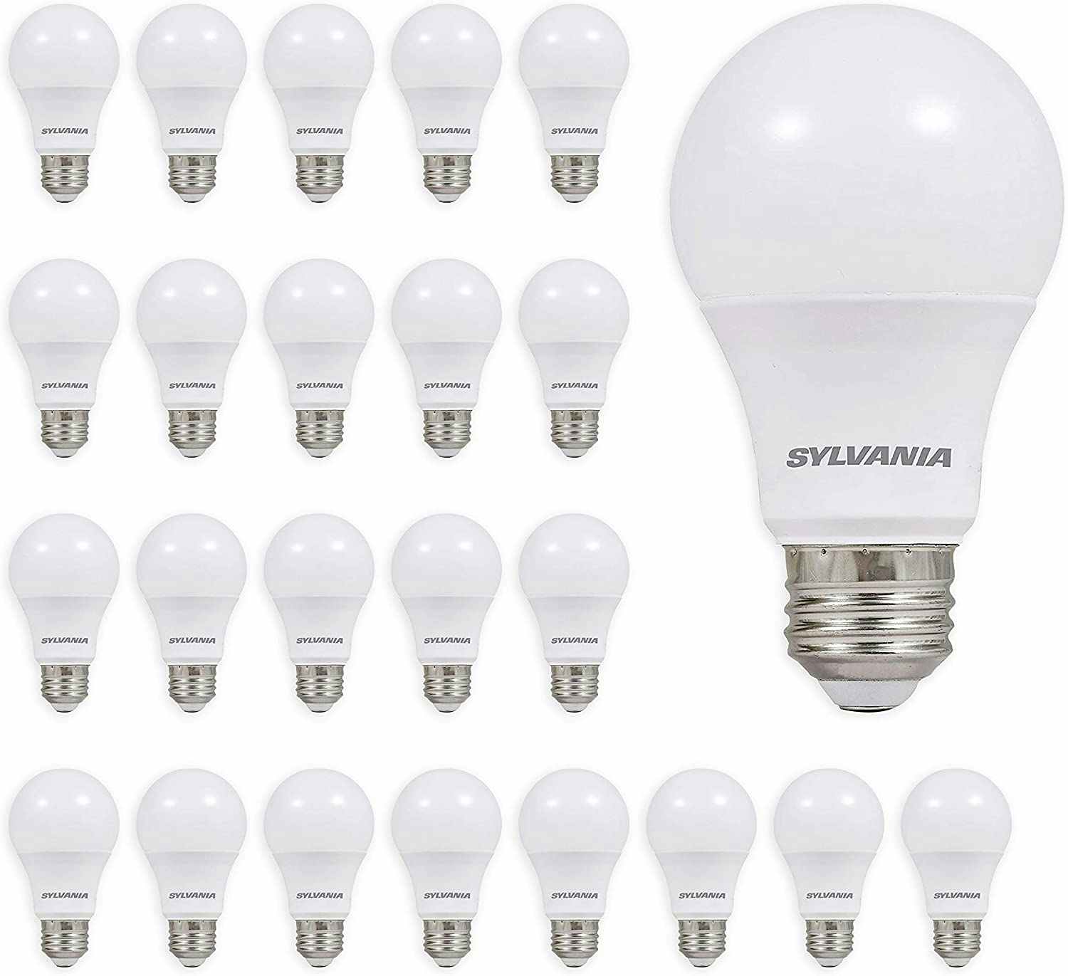 24 Sylvania light bulbs lined up in four rows