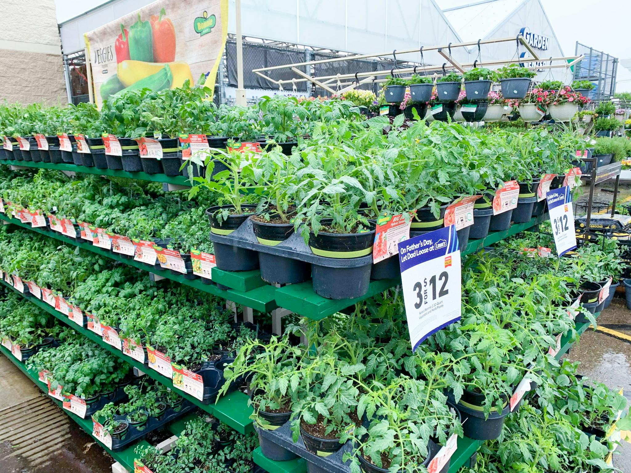 Bonnie Vegetable Herb Plants 3 For 12 At Lowe S The Krazy Coupon Lady