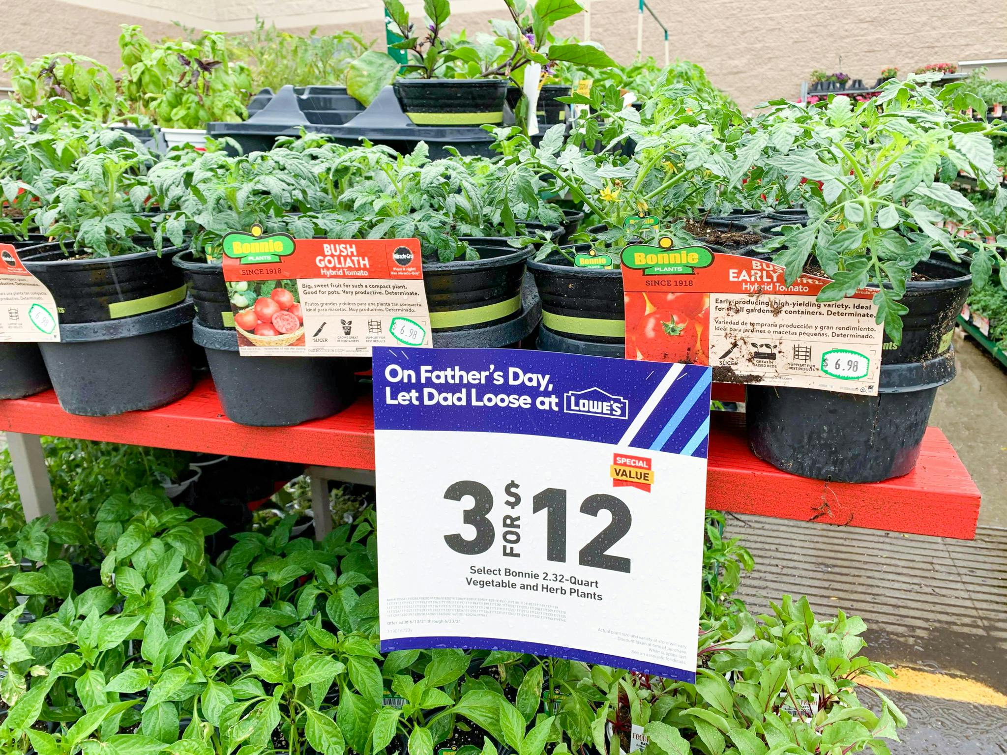 Bonnie Vegetable & Herb Plants, 3 for 12 at Lowe's The Krazy Coupon Lady