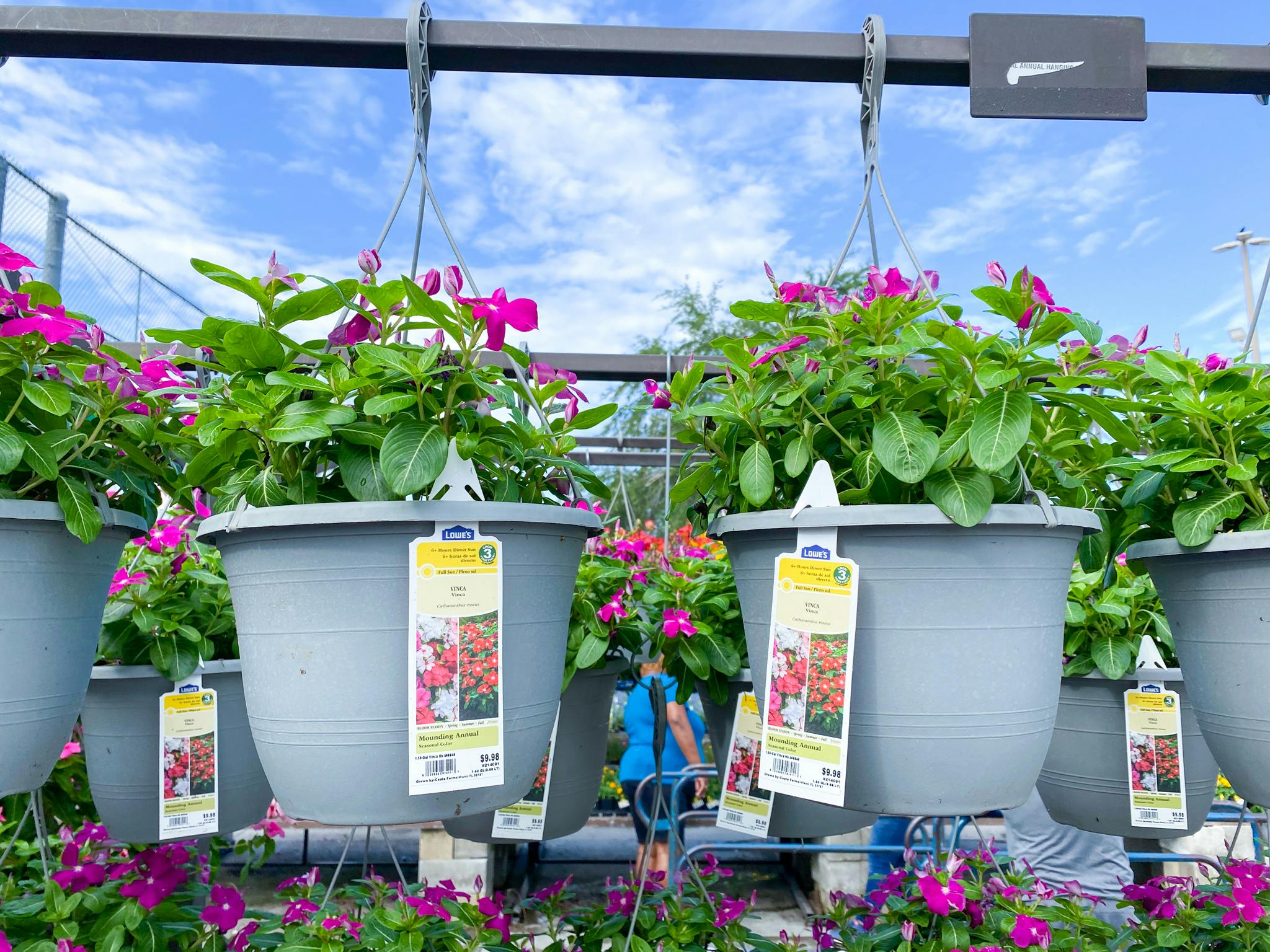 Hanging flower baskets on display at Lowe's.