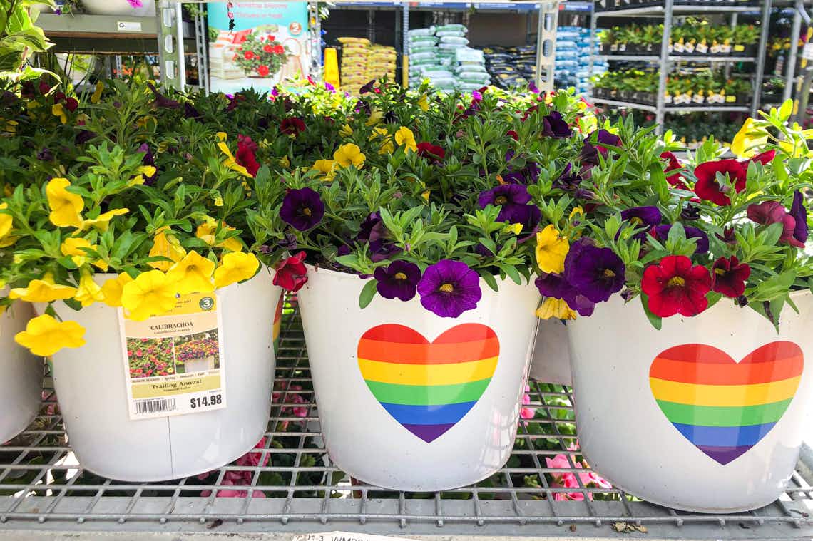 rainbow heart pride flower pots on metal shelves in lowe's garden section