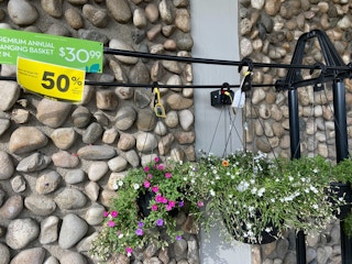 riteaid plant clearance em 2021d 1623334279 1623334279 scaled