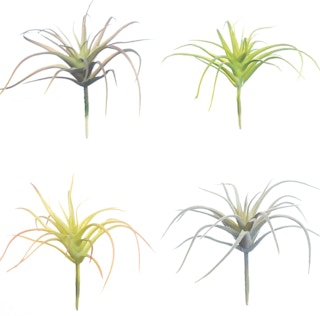 screen shot 2021 06 10 at 114456 am 1623350700 1623350701