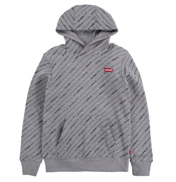 kohls Boys 8-20 Levi's Fleece Batwing Logo Pullover Hoodie stock image 2021