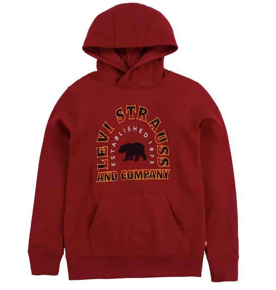 kohls Boys 8-20 Levi's Fleece Logo Pullover Hoodie stock image 2021