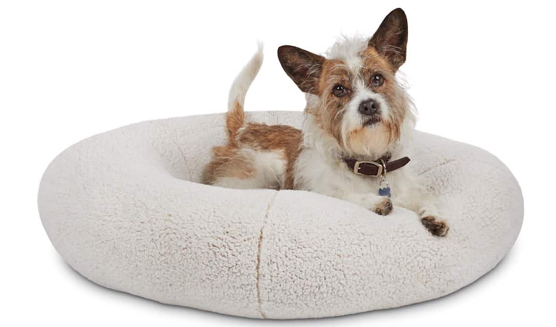 dog in round plush pet bed