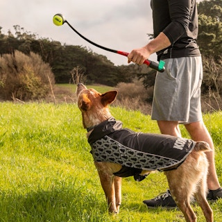 man and dog outside playing with ball