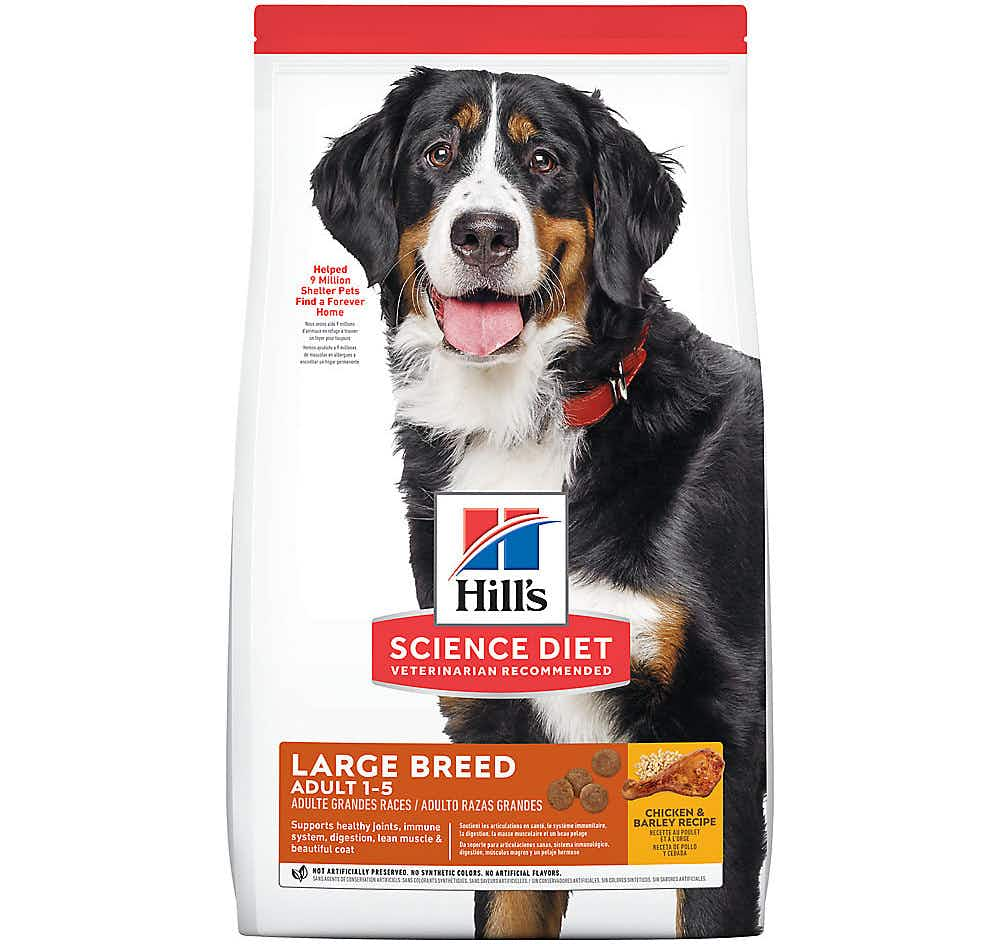 Dry dog food bag