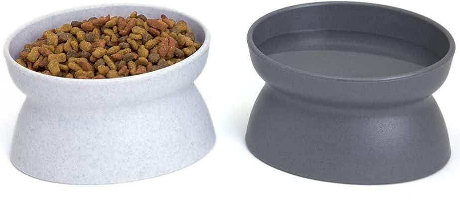 cat-food-bowl-amazon-082021