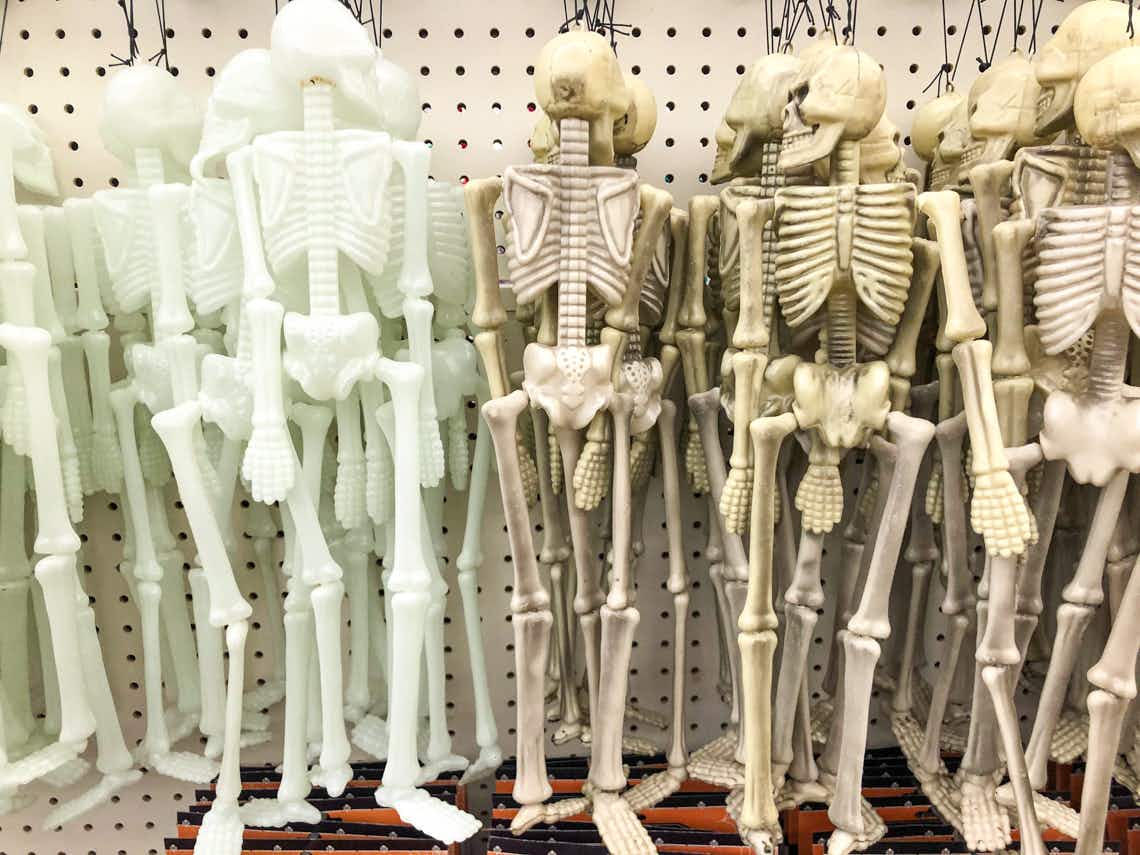 plastic skeletons on display 