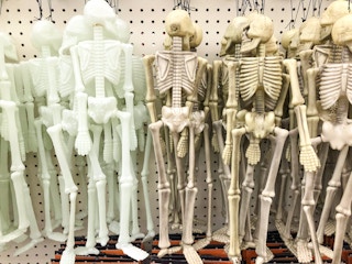 plastic skeletons on display