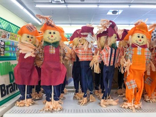 fall decor dollar tree 2021 6 1628792257 1628792257