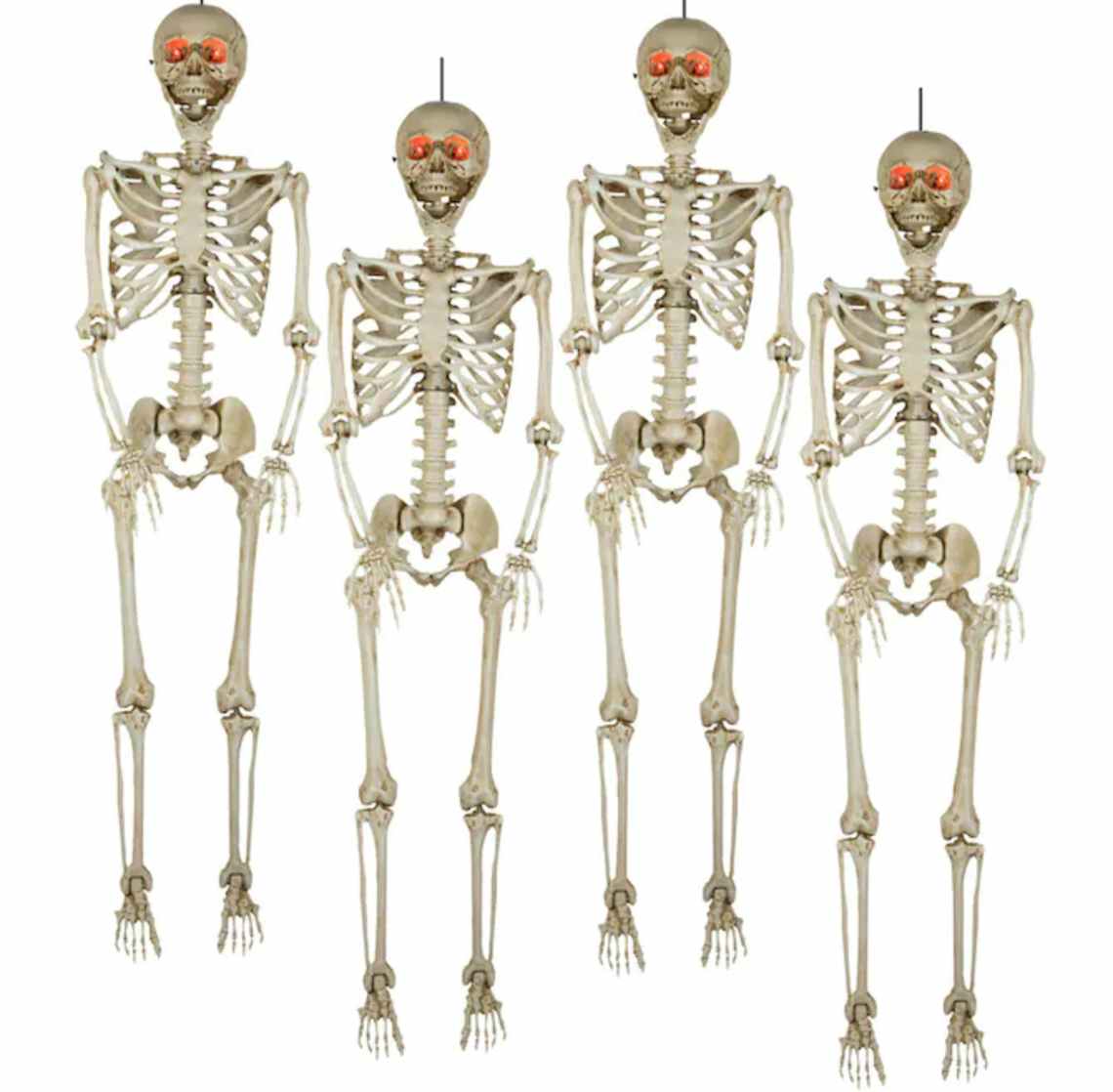 stock photo of four plastic skeletons hanging in front of white background