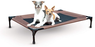 amazon elevated dog bed screenshot 1631018280 1631018280