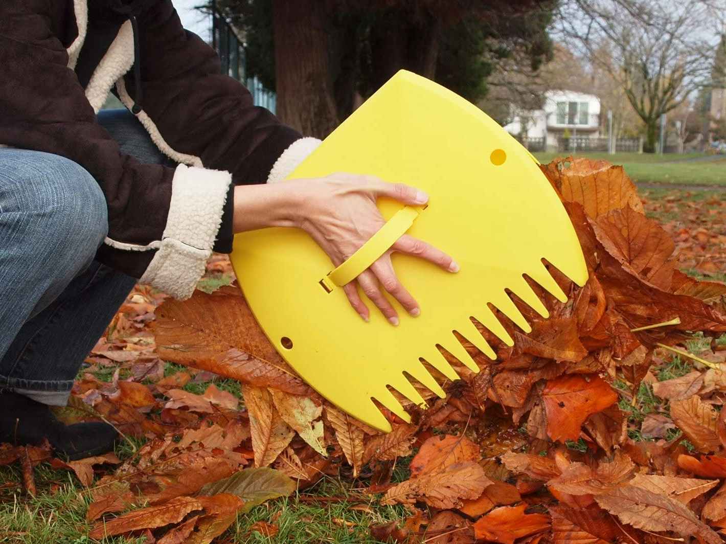 A person picking up leaves with a leaf shovel.