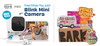 bb blink homepage desk 1632149985 1632149985
