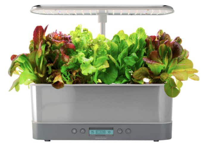 best buy AeroGarden Harvest Elite Slim Indoor Garden stock image 2021