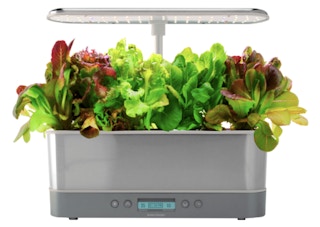 best buy AeroGarden Harvest Elite Slim Indoor Garden stock image 2021