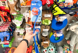 chuckit target 2021 1632339067 1632339067 scaled