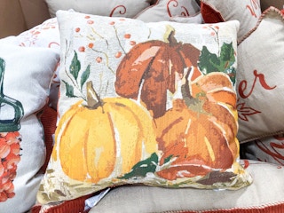 costco fall harvest pillows 2021 rs 03 1631054189 1631054189