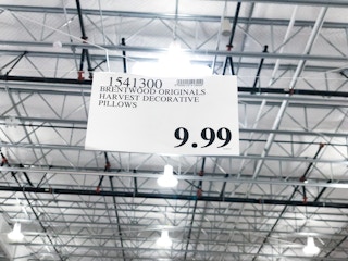 costco fall harvest pillows 2021 rs 05 1631054203 1631054203