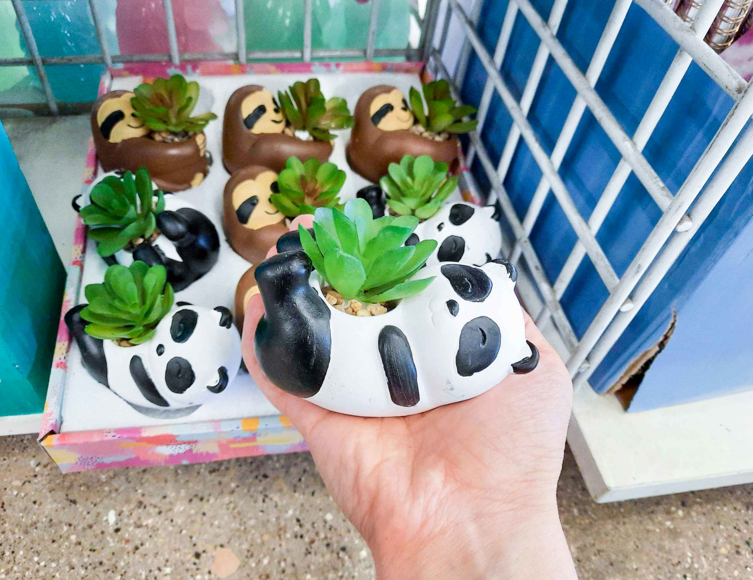 dollar-tree-panda-planter-with-artificial-succulent