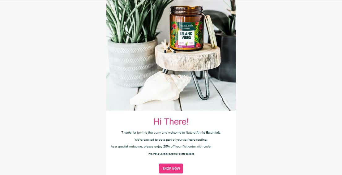 etsy newsletter