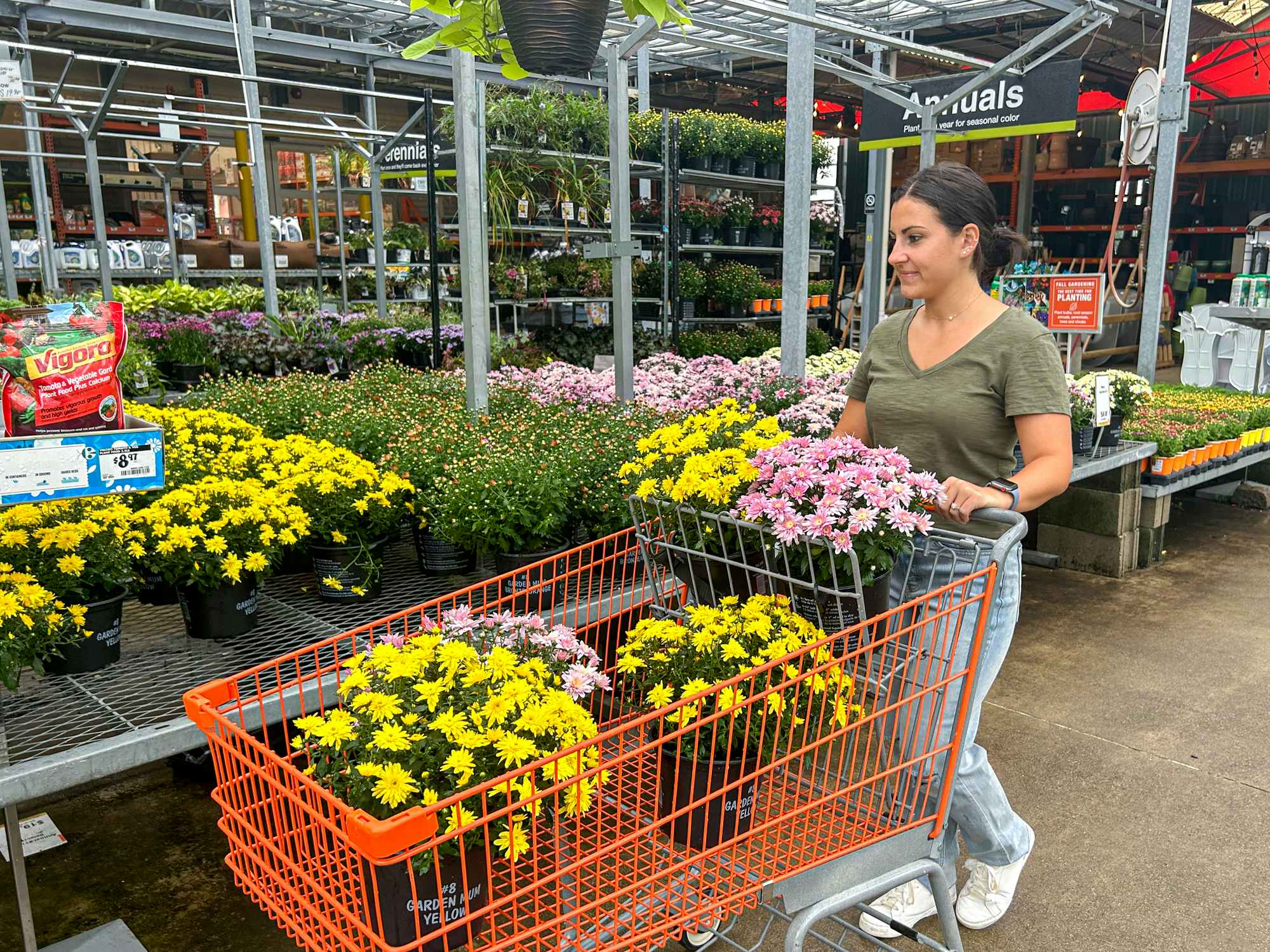 a person shopping for mums at home depot