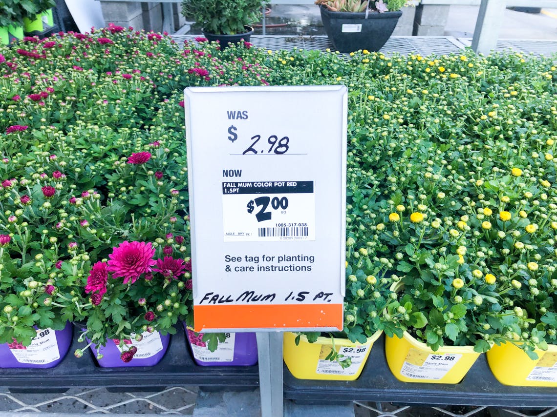 Top Labor Day Deals at Home Depot The Krazy Coupon Lady