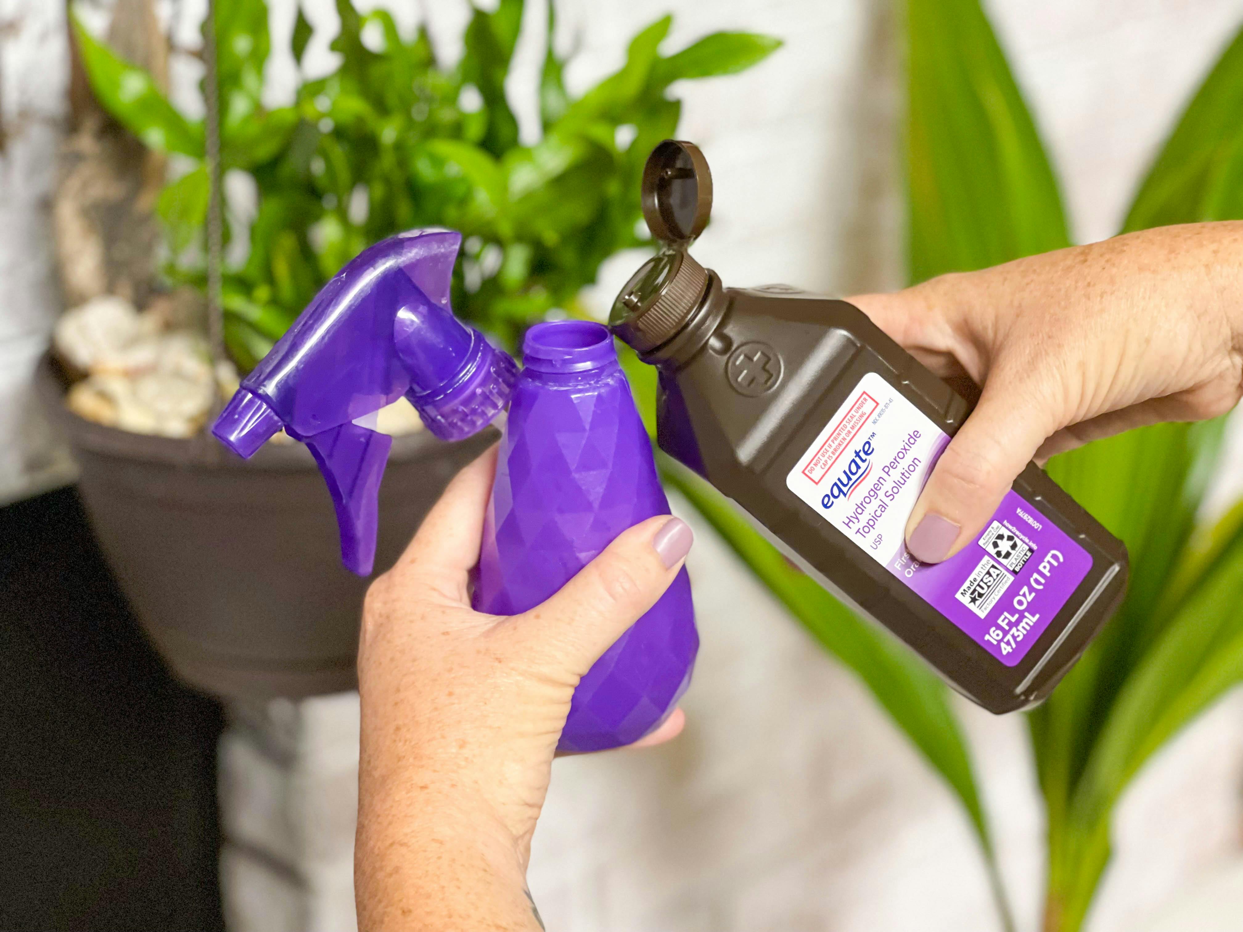 pouring hydrogen peroxide into spray bottle in front of plants