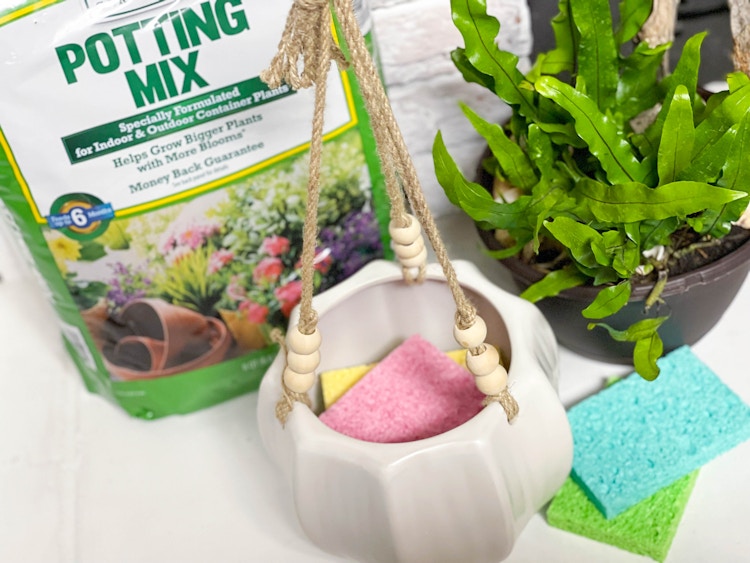 spounges in a hanging plant vase next to plotting mix