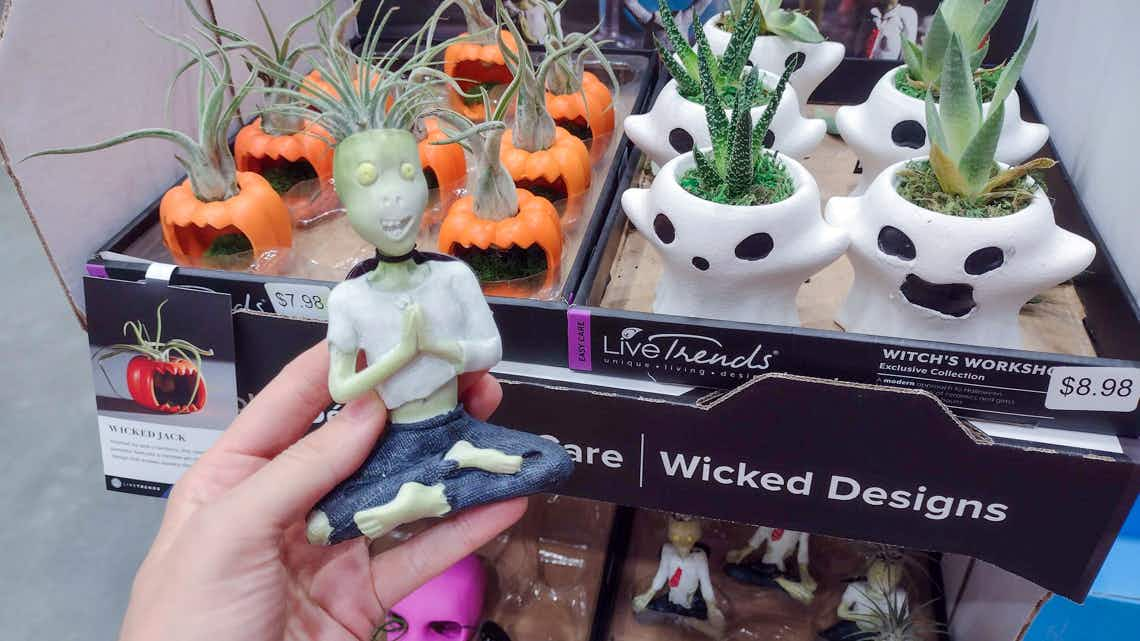 zombie air plant pot