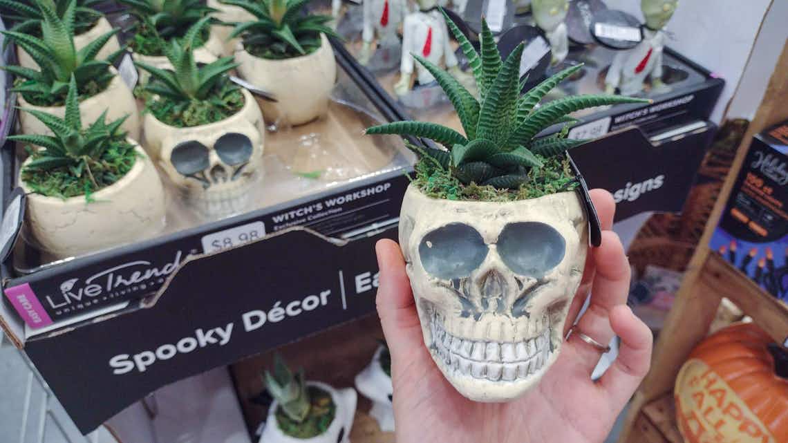 skull succulent plant pot