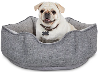 petco-dog-bed-090921.