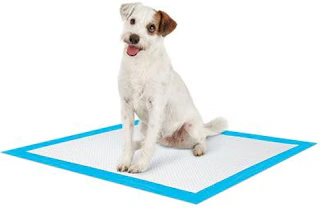 petco-potty-pads-090921