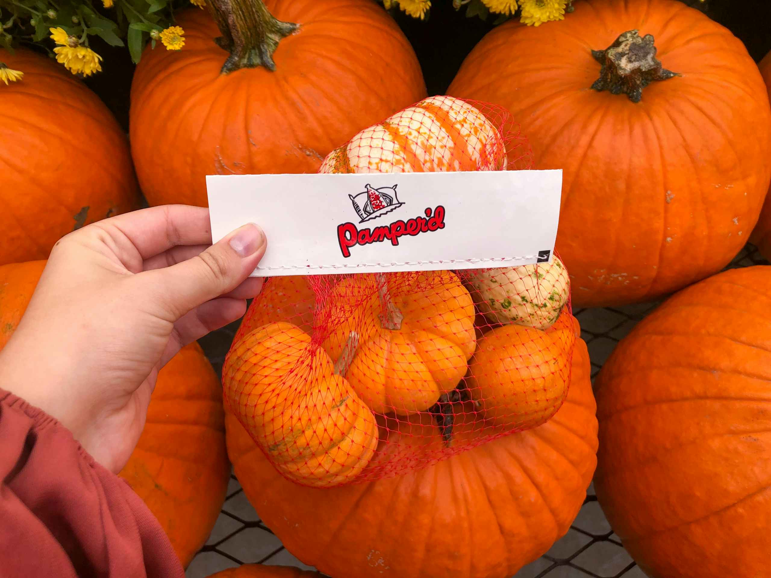 hand holding up the tag on a bag of gourds resting on top of a pumpkin