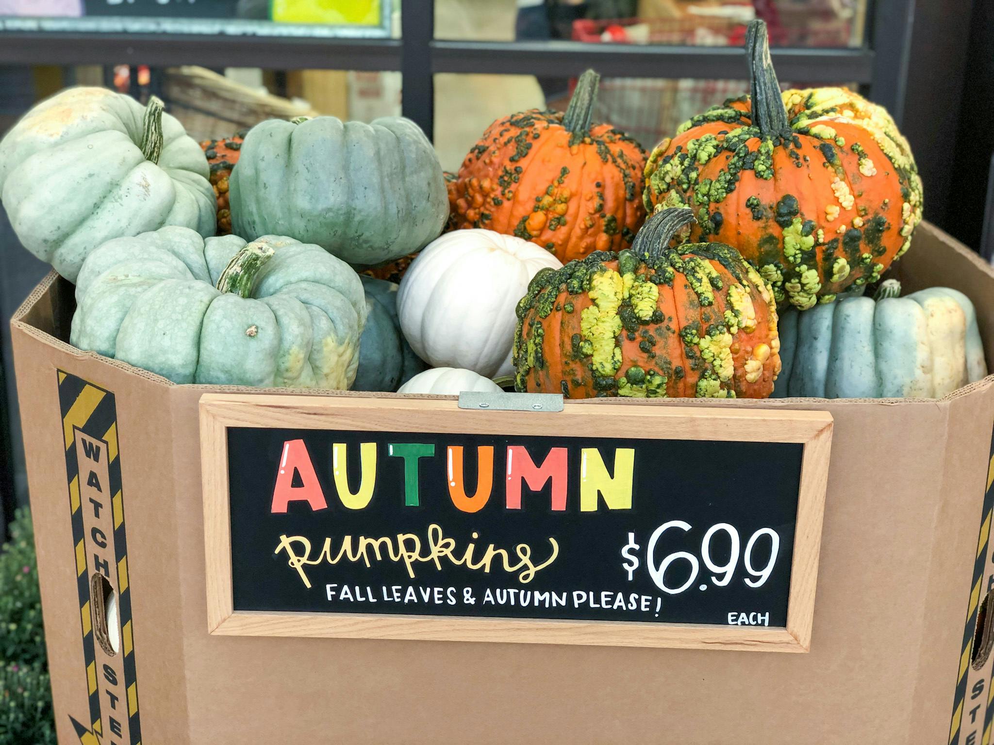 Trader Joe's pumpkins in a box outside the store.