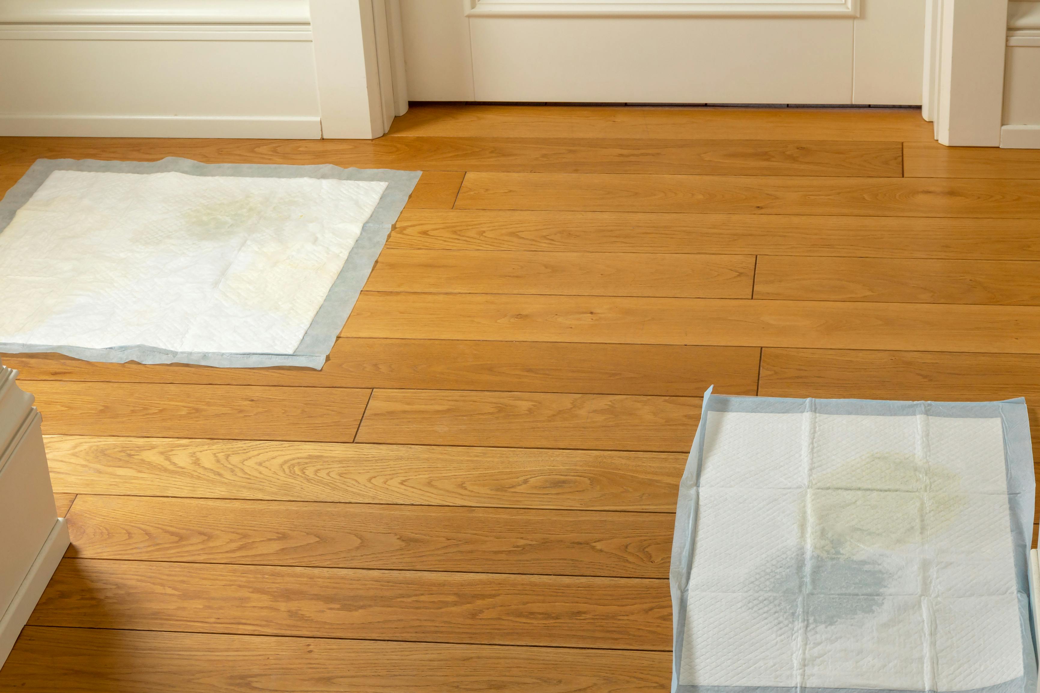 puppy pee pads on the floor