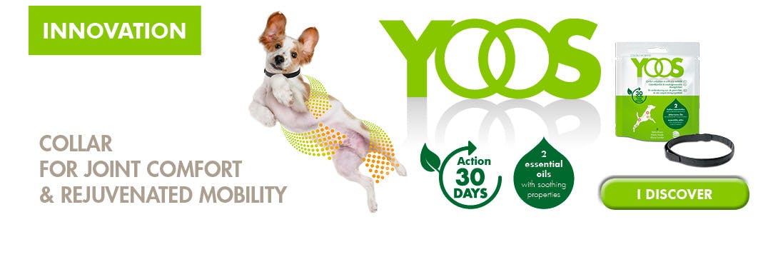 A screenshot of Yoos page for sample collar.