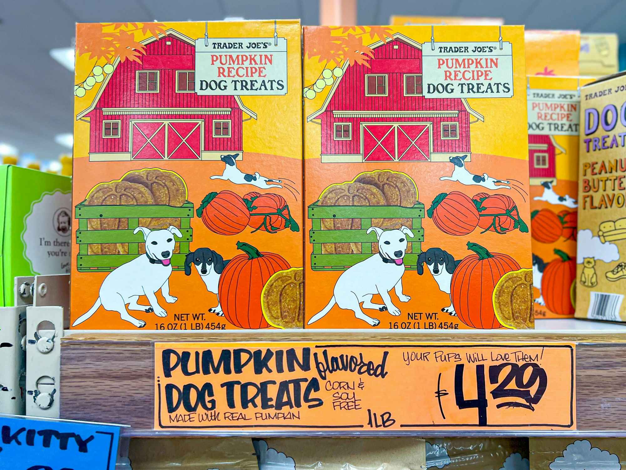 pumpkin recipe dog treats at Trader Joe's