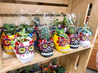 trader joes sugar skull 2021 rs 02 1631633201 1631633201