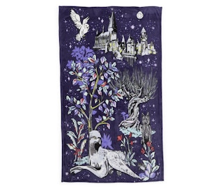 vera-bradley-harry-potter-2021-new-6