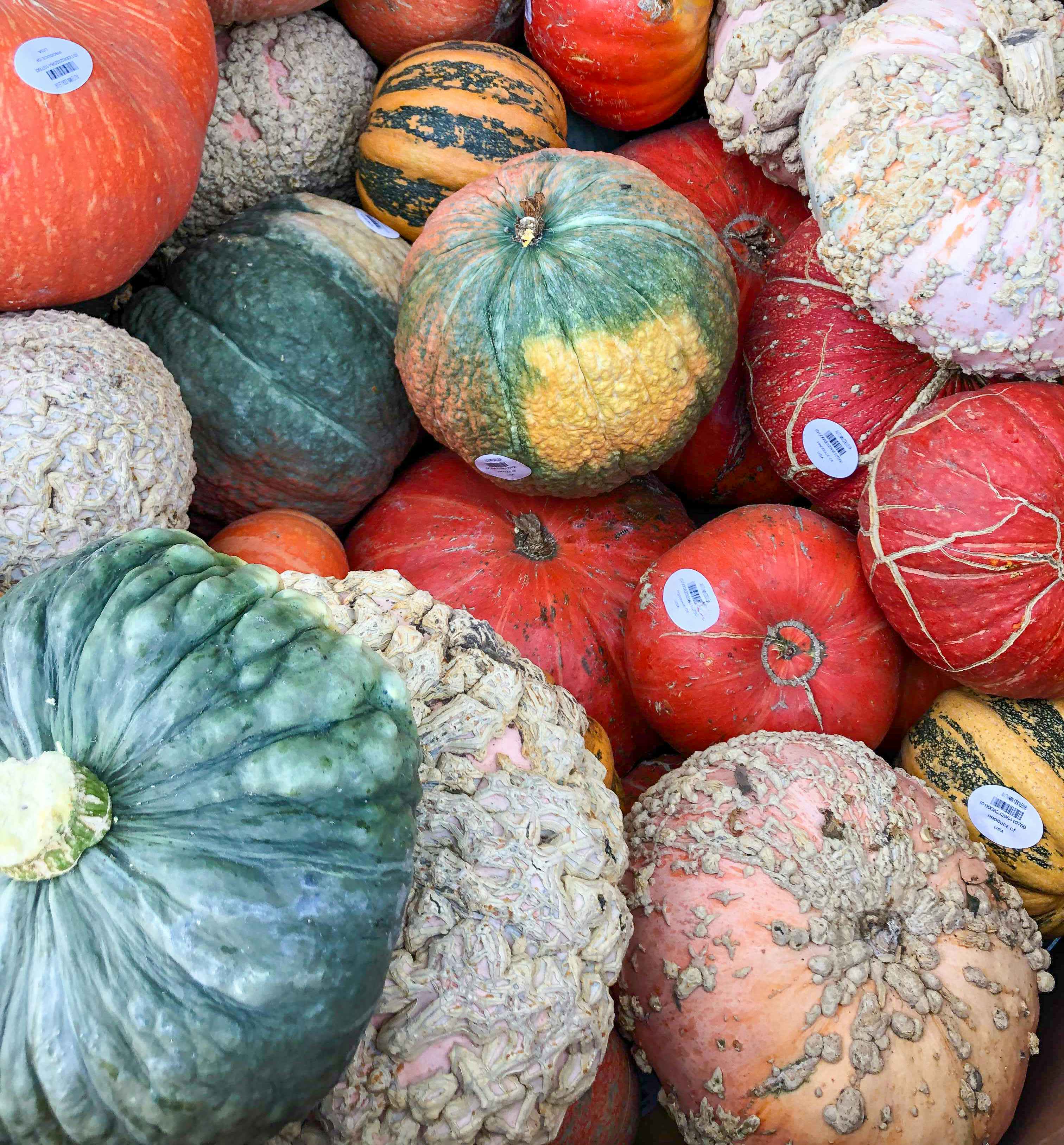 walmart-autumn-colored-pumpkins-2021
