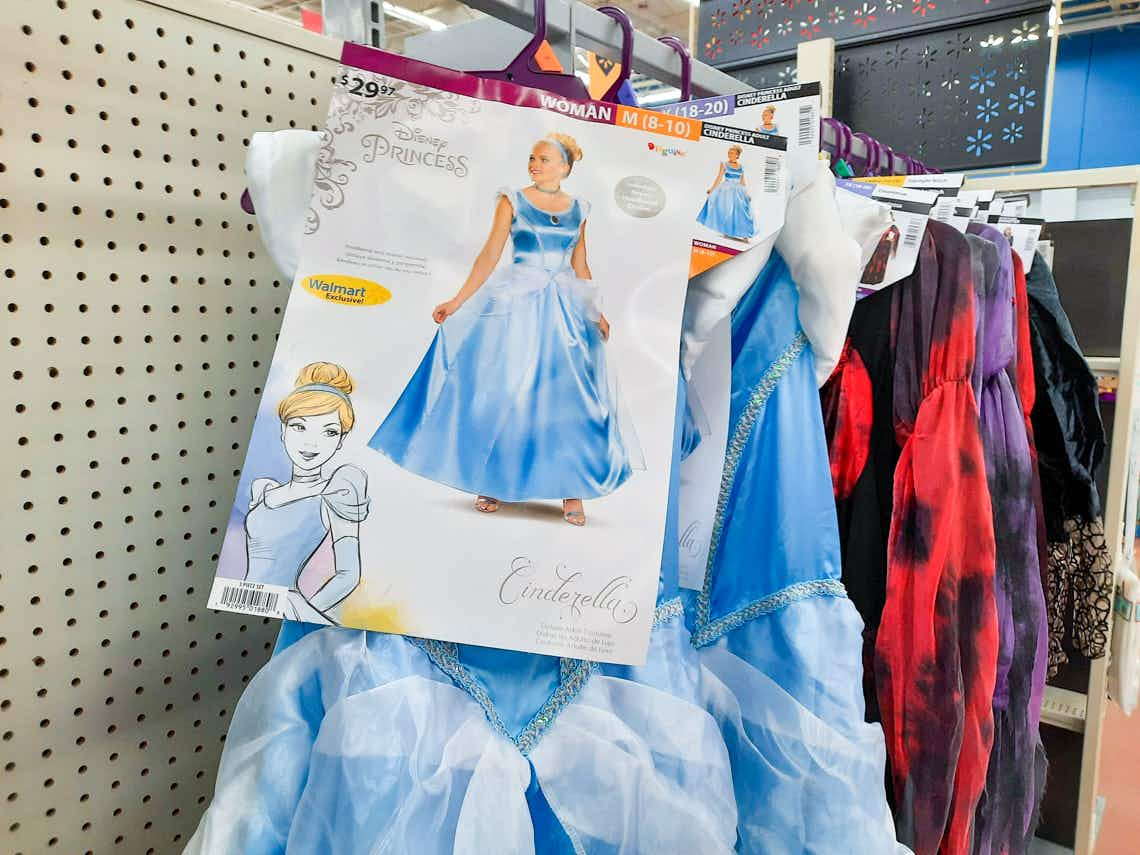 womens disney cinderella costume