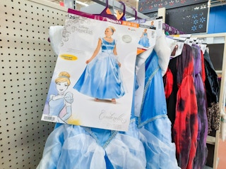 womens disney cinderella costume