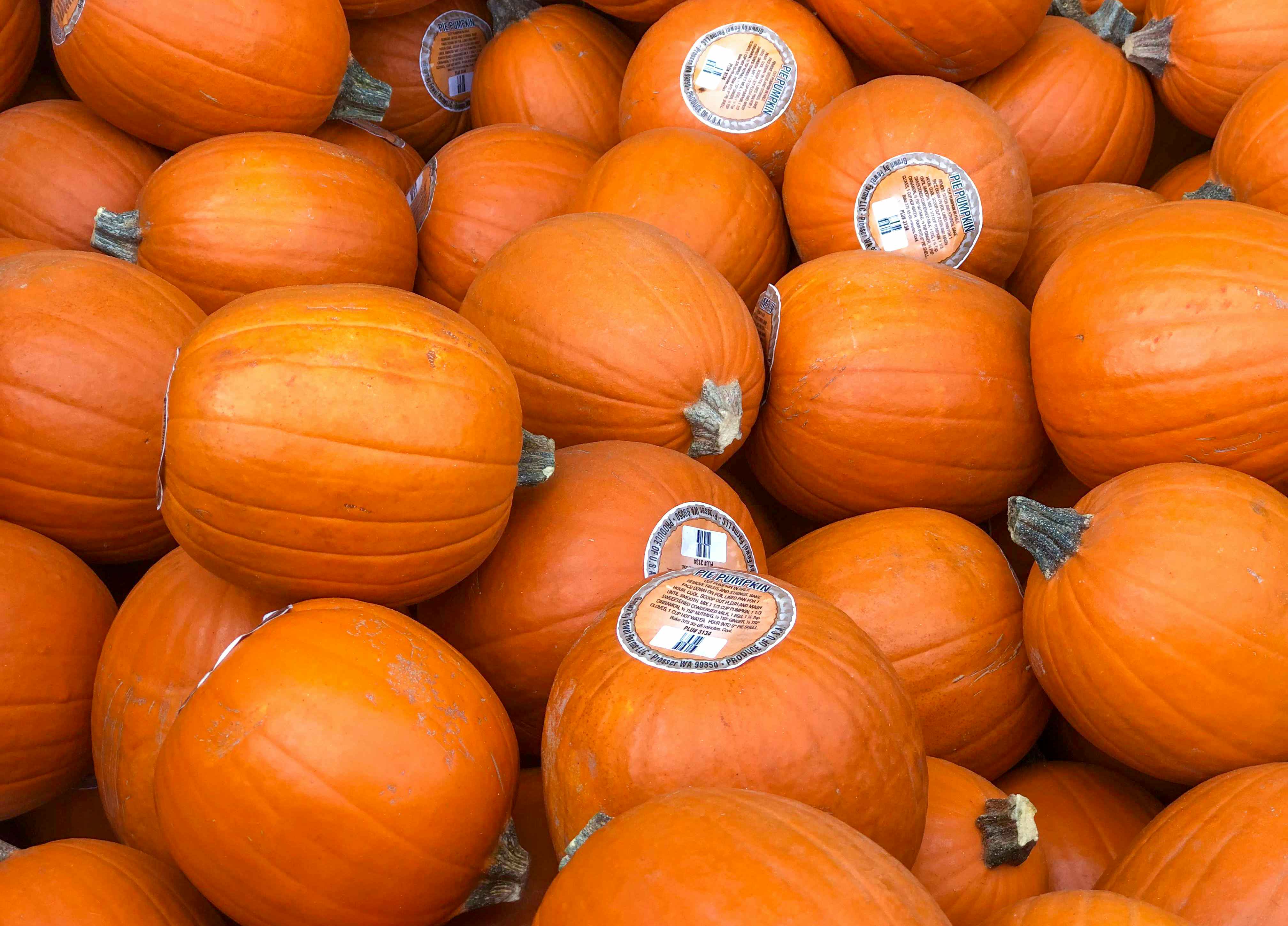 walmart-orange-pumpkins-2021